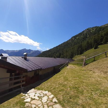 ホテル Restor Natura Malga Mondent Pracorno di Rabbi エクステリア 写真