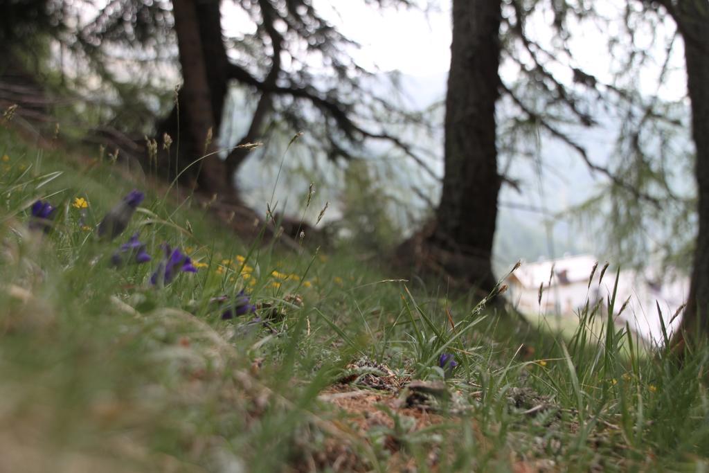 ホテル Restor Natura Malga Mondent Pracorno di Rabbi エクステリア 写真